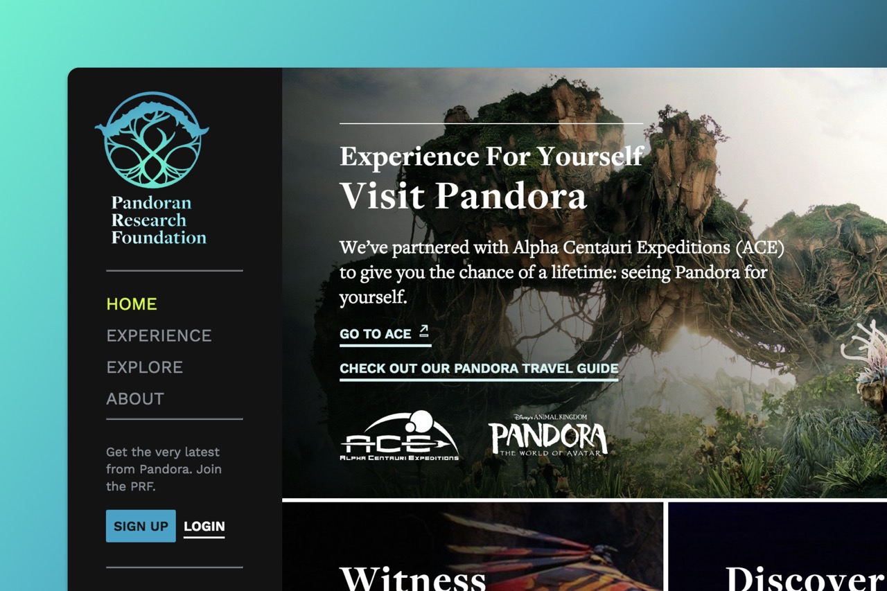 Avatar community experience